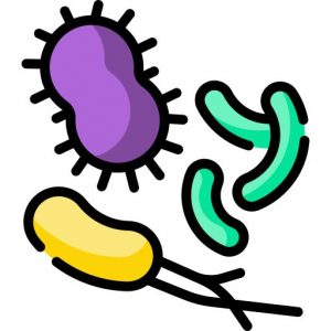 Antibióticos